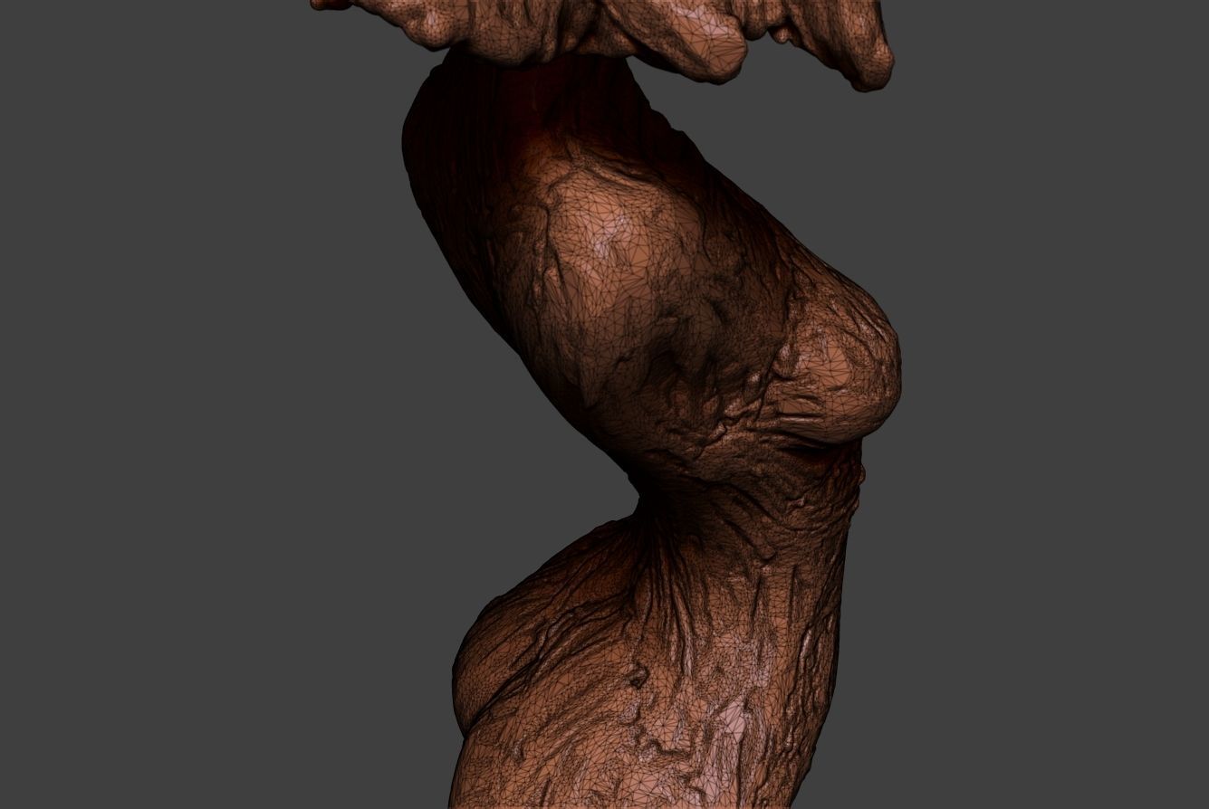 Clay Girl 3D print model_16