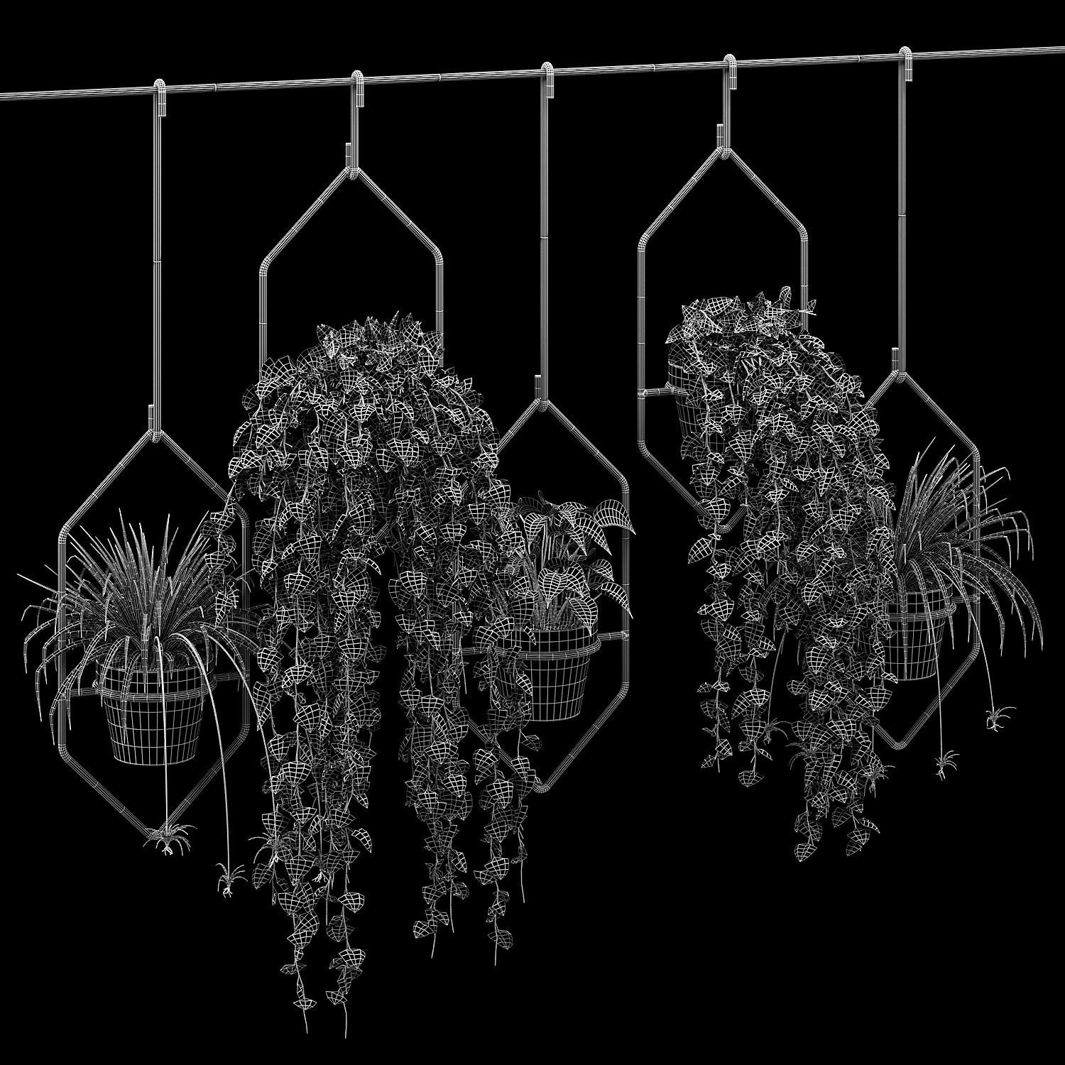 Ampelous plant 3D model_6