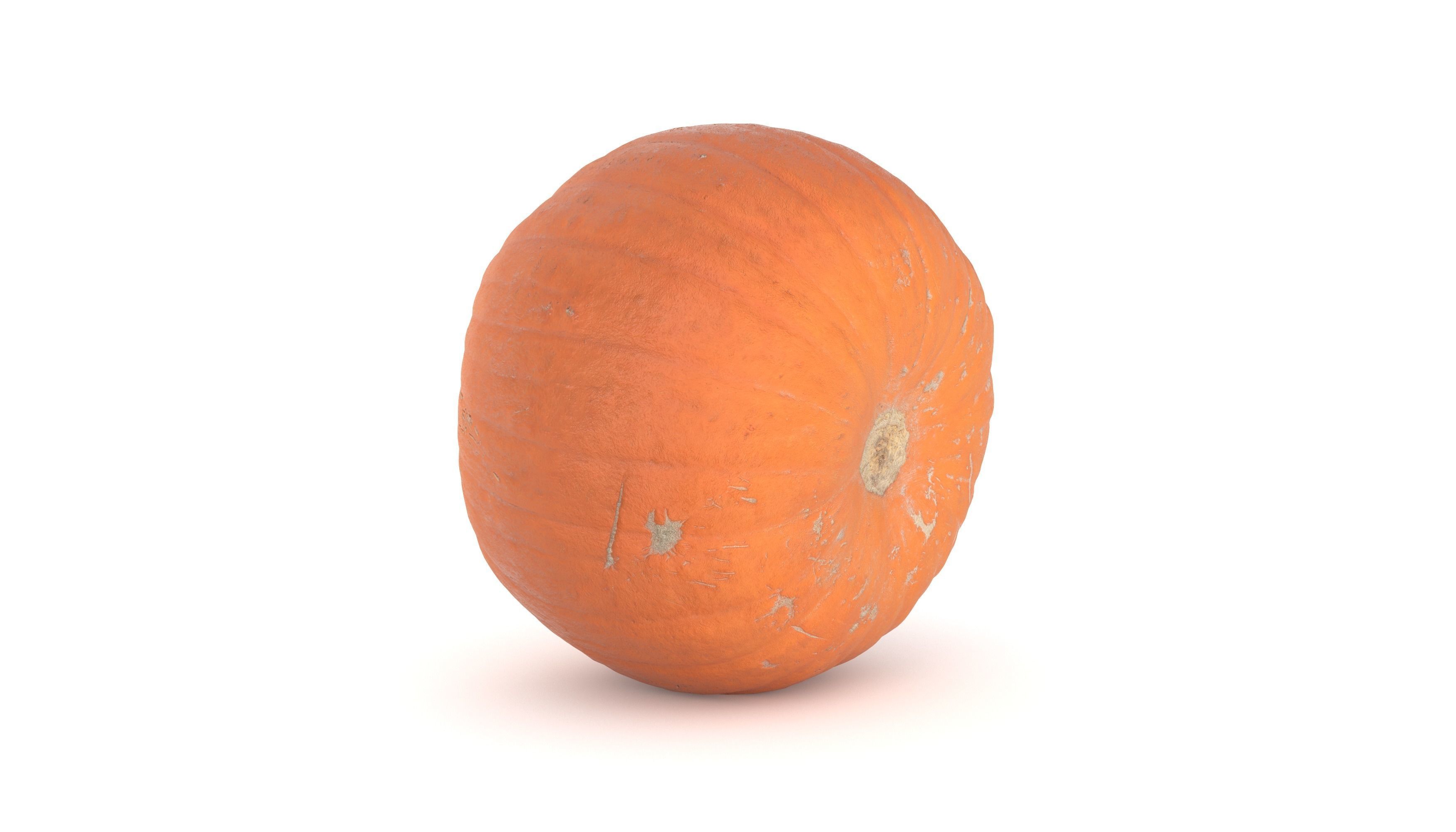 Pumpkin 3D model photoscan 3D model_4