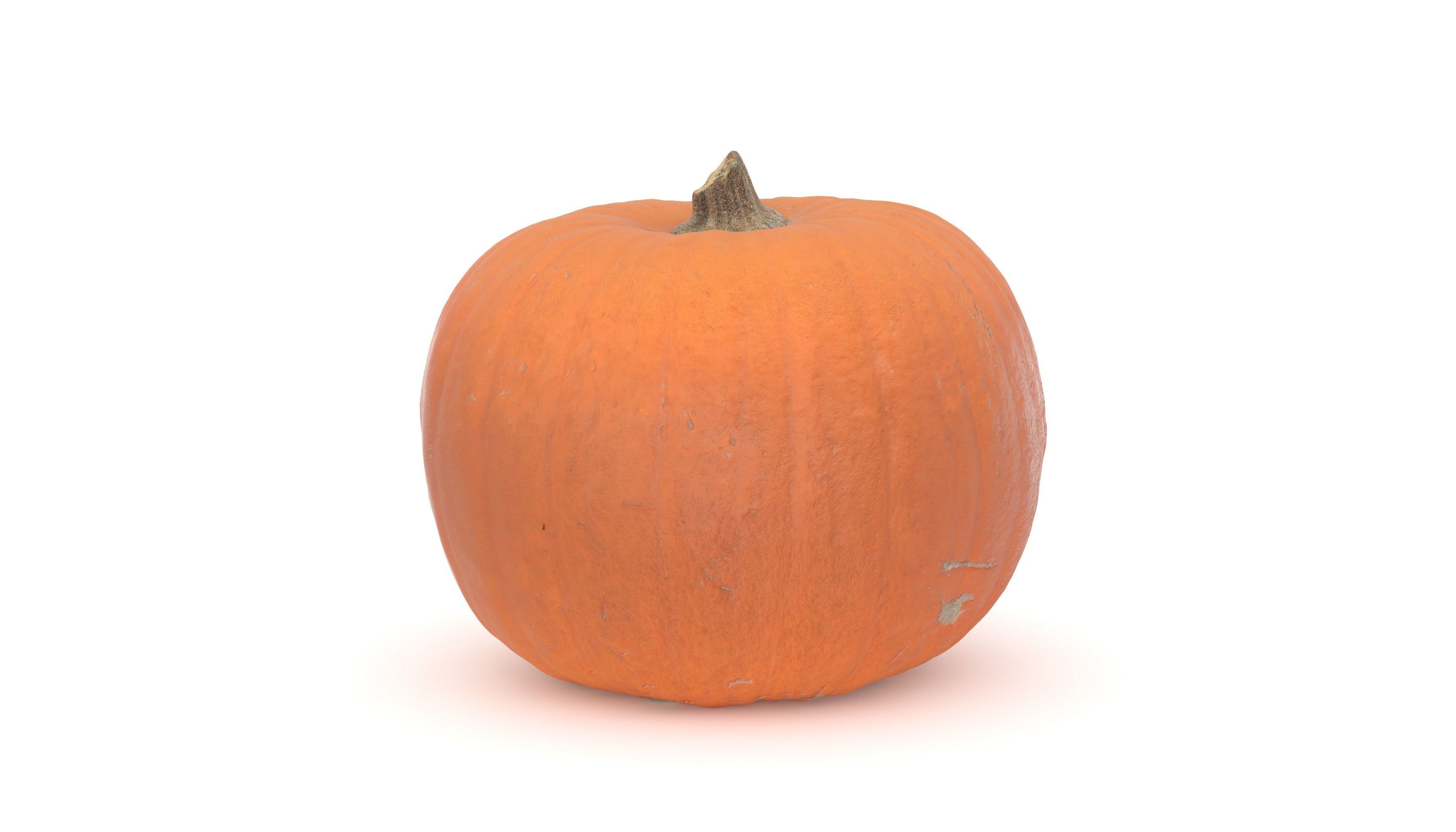 Pumpkin 3D model photoscan 3D model_1