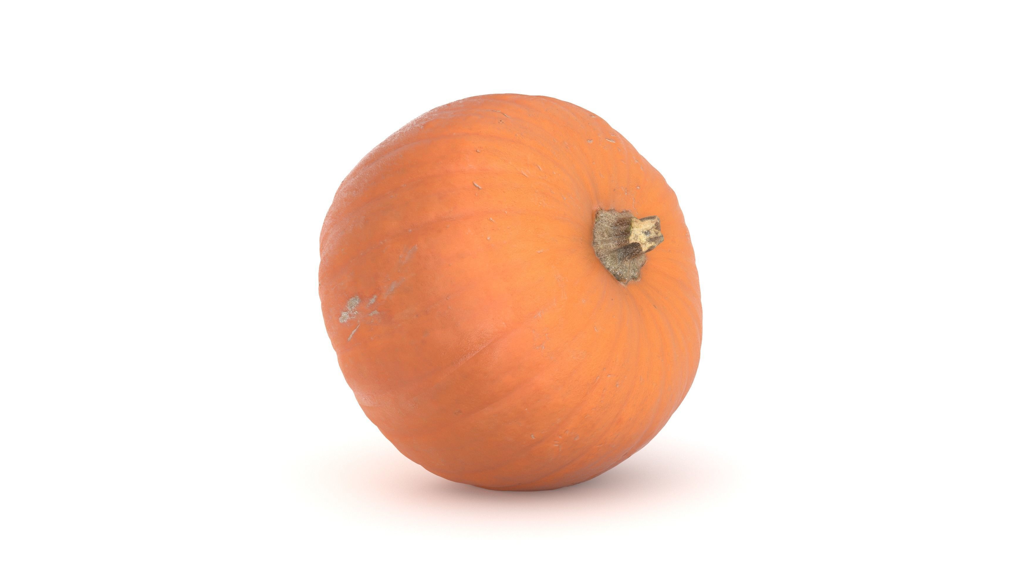 Pumpkin 3D model photoscan 3D model_5