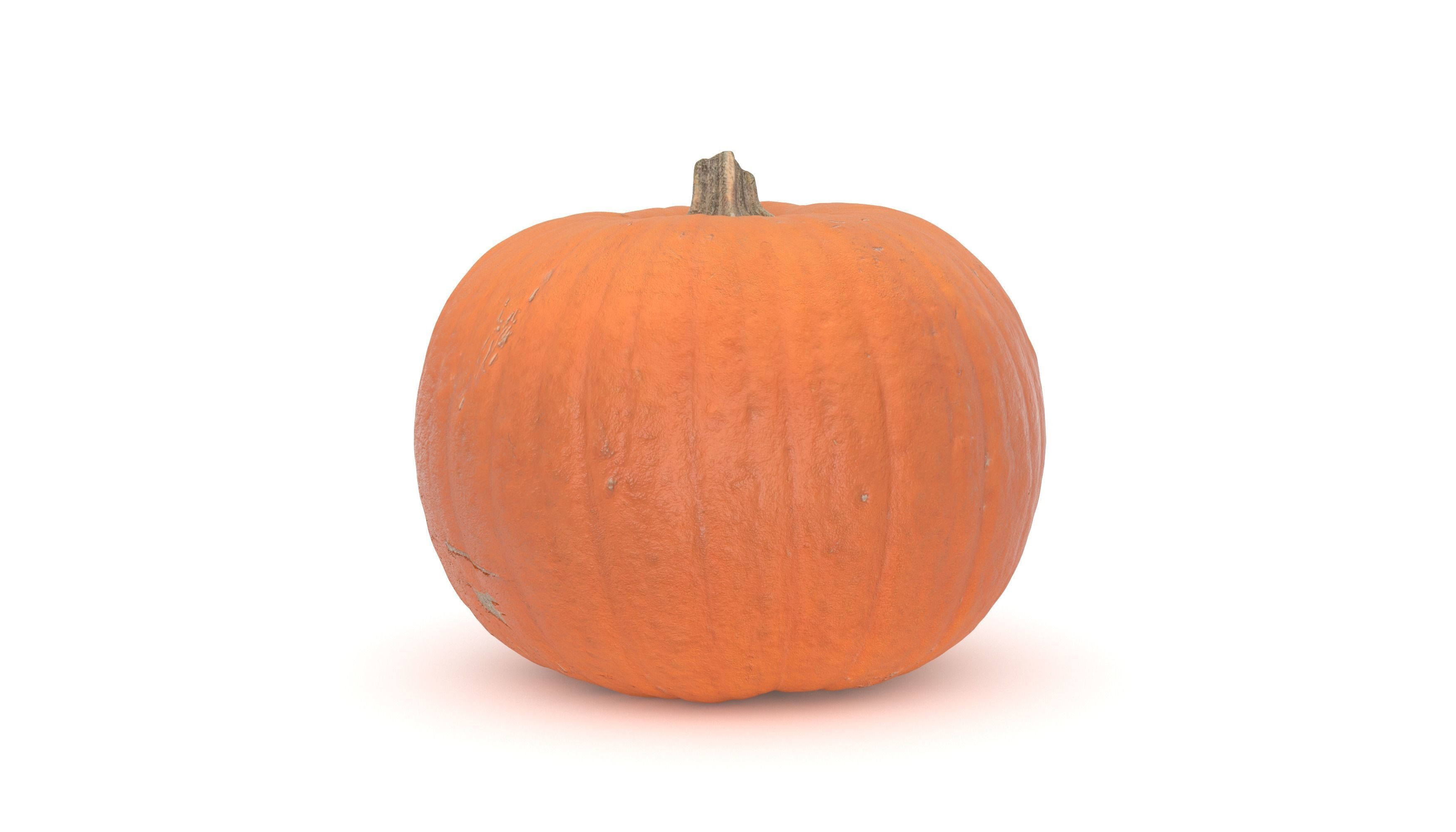 Pumpkin 3D model photoscan 3D model_3
