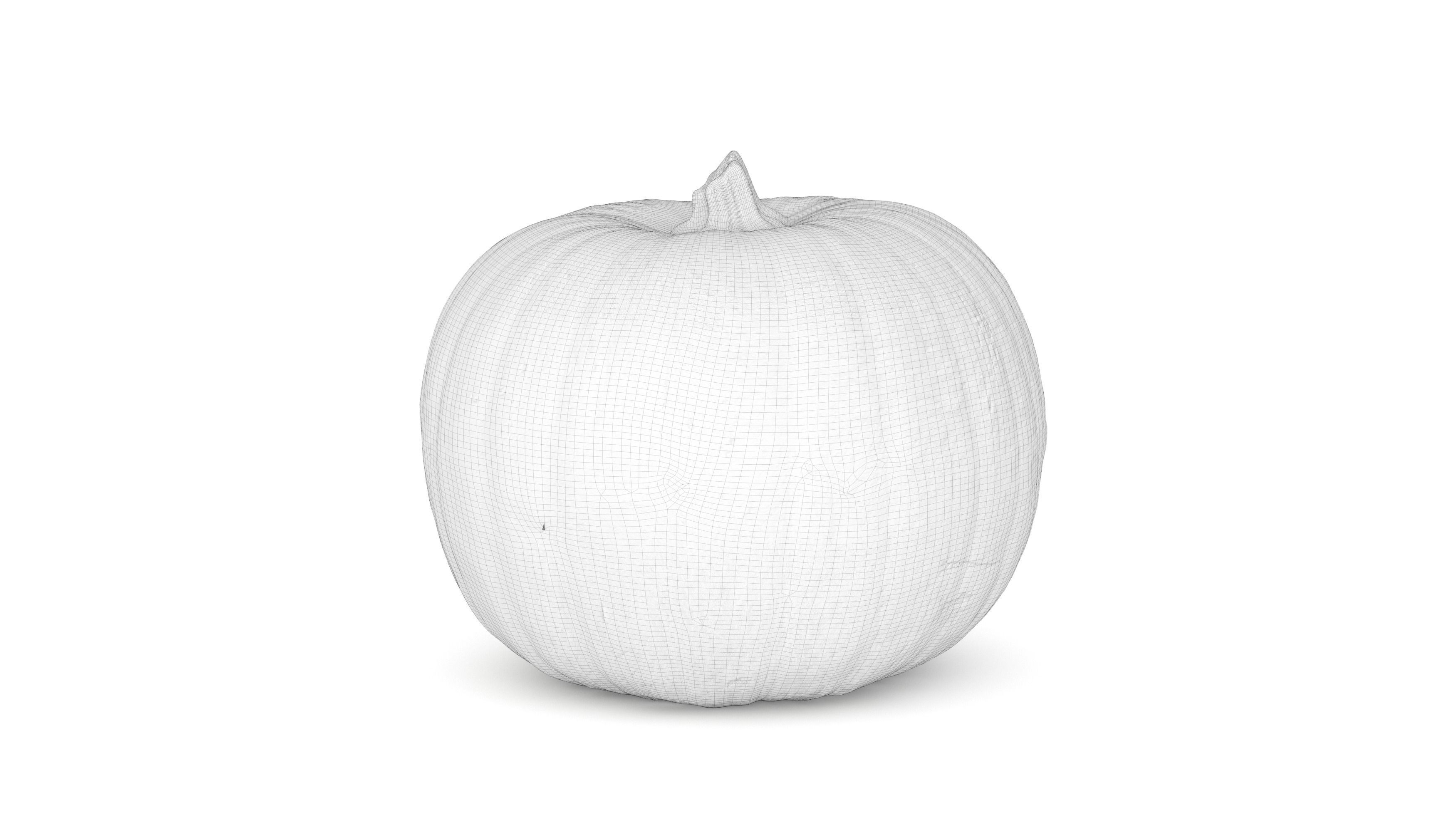 Pumpkin 3D model photoscan 3D model_2