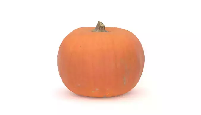 Pumpkin 3D model photoscan 3D model Pumpkin 3D model photoscan 3D model