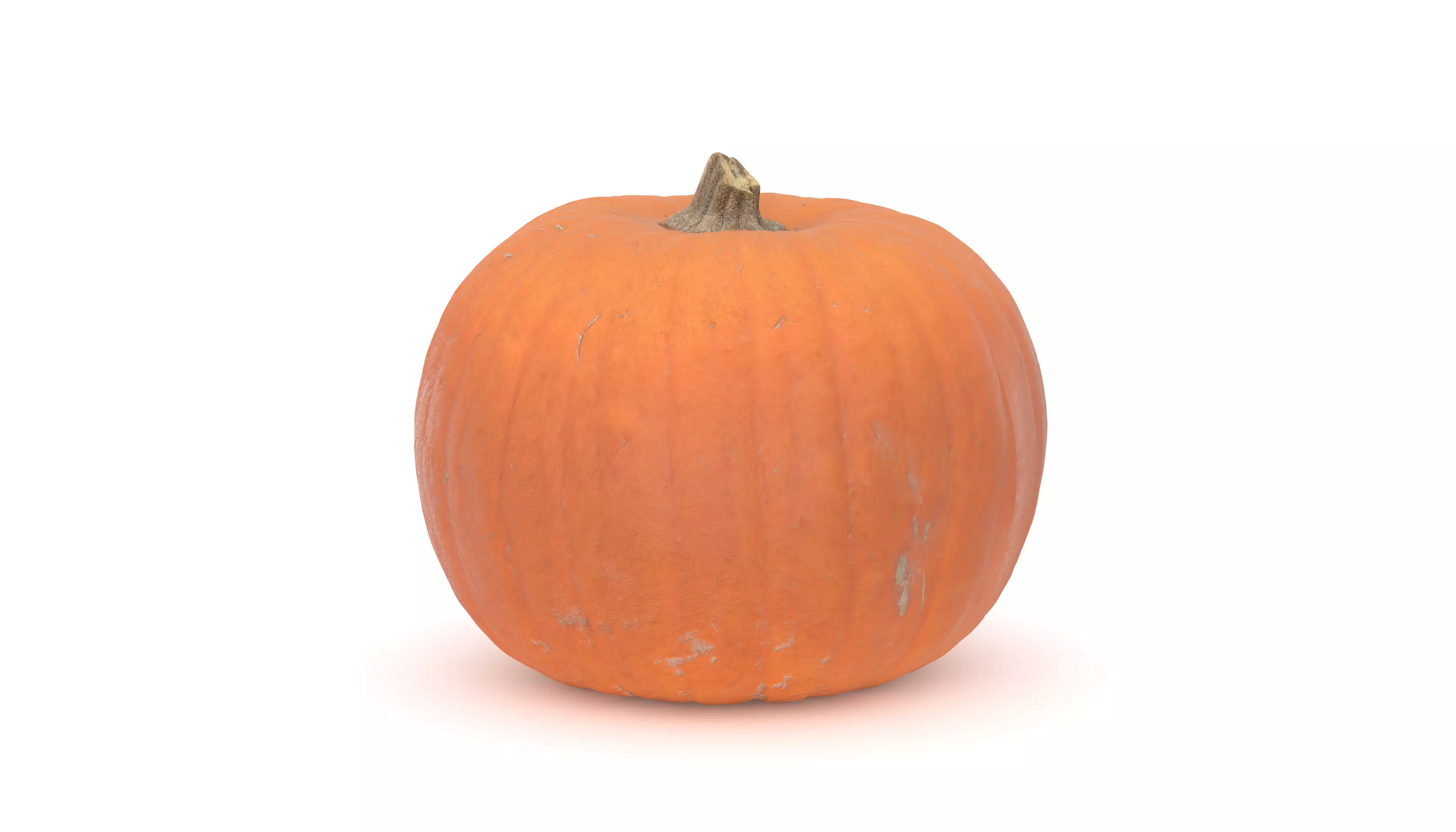 Pumpkin 3D model photoscan 3D model_0