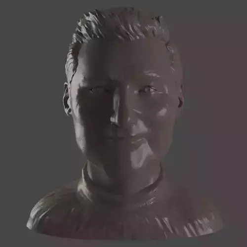 Male head Free 3D print model