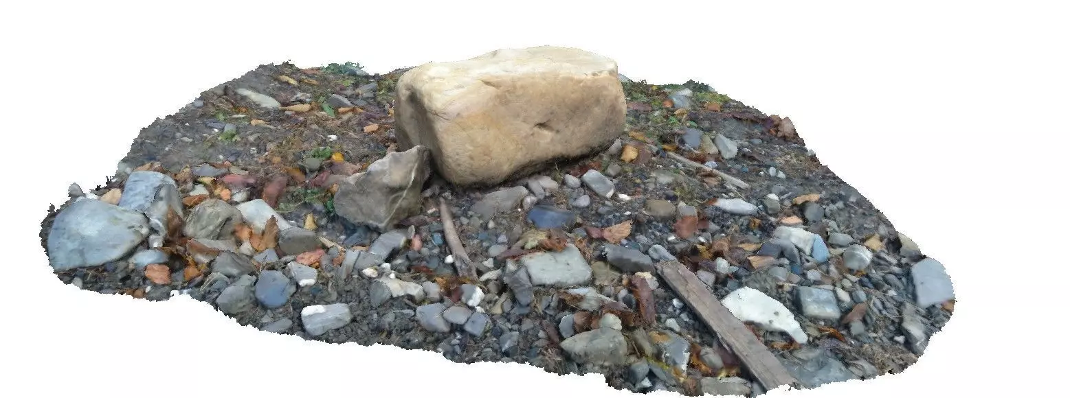 Forest creek rock 3D scan Low-poly 3D model_0