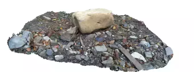 Forest creek rock 3D scan