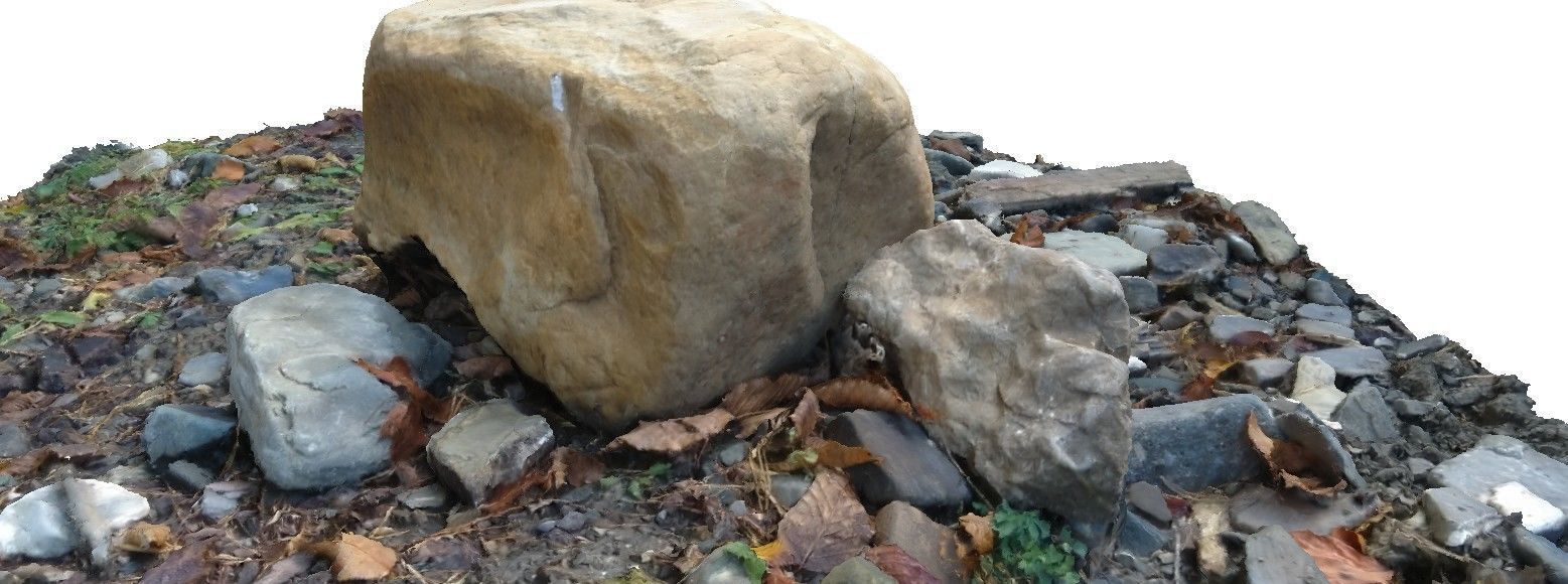 Forest creek rock 3D scan Low-poly 3D model_4
