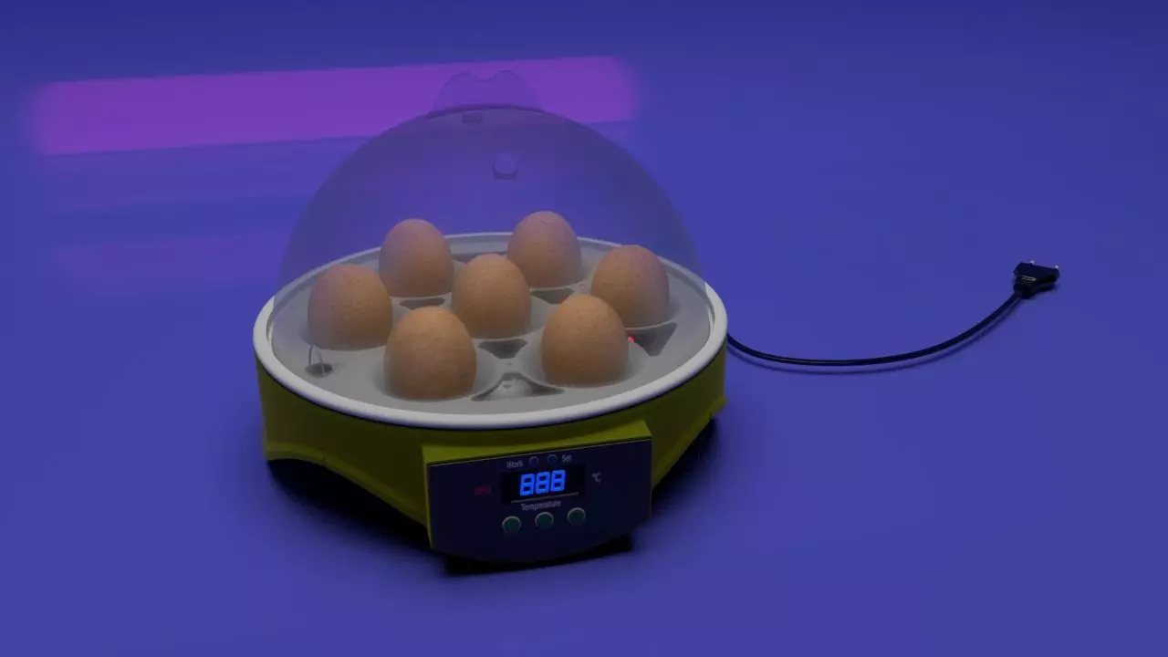 Incubator egg 3D model