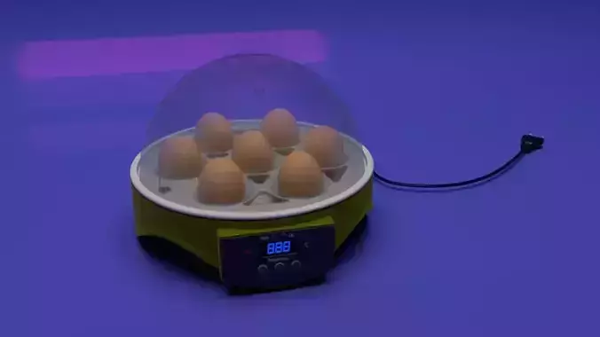 Incubator egg