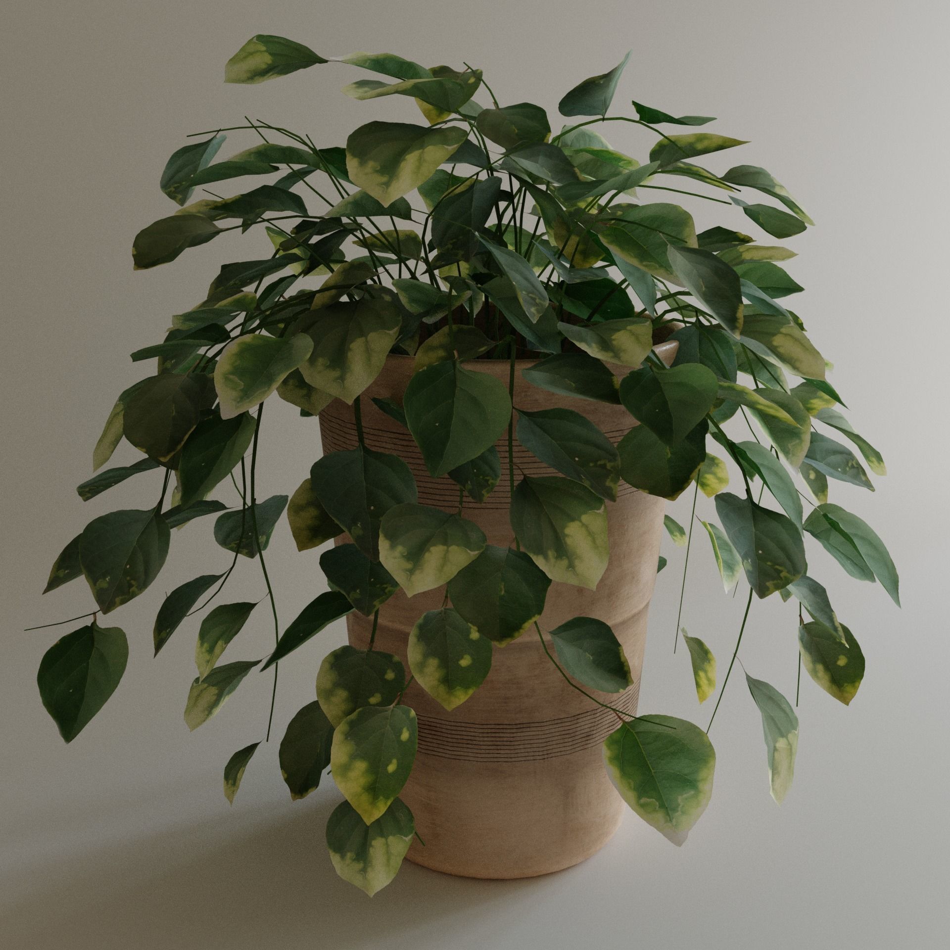 Pot with Plant 3D model_4