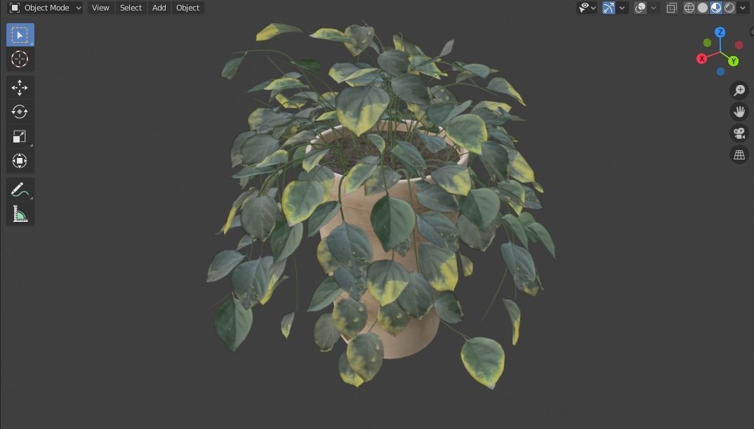 Pot with Plant 3D model_7