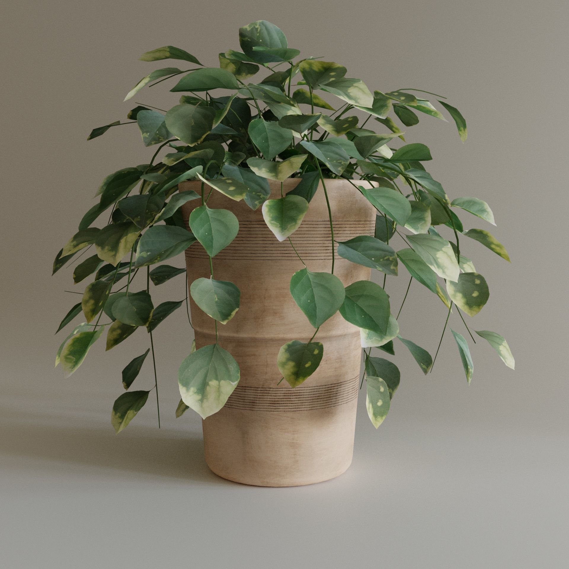 Pot with Plant 3D model_1