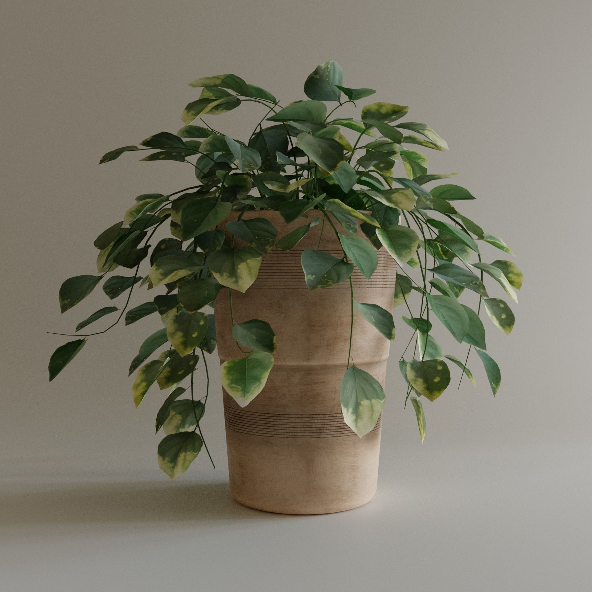 Pot with Plant 3D model_3