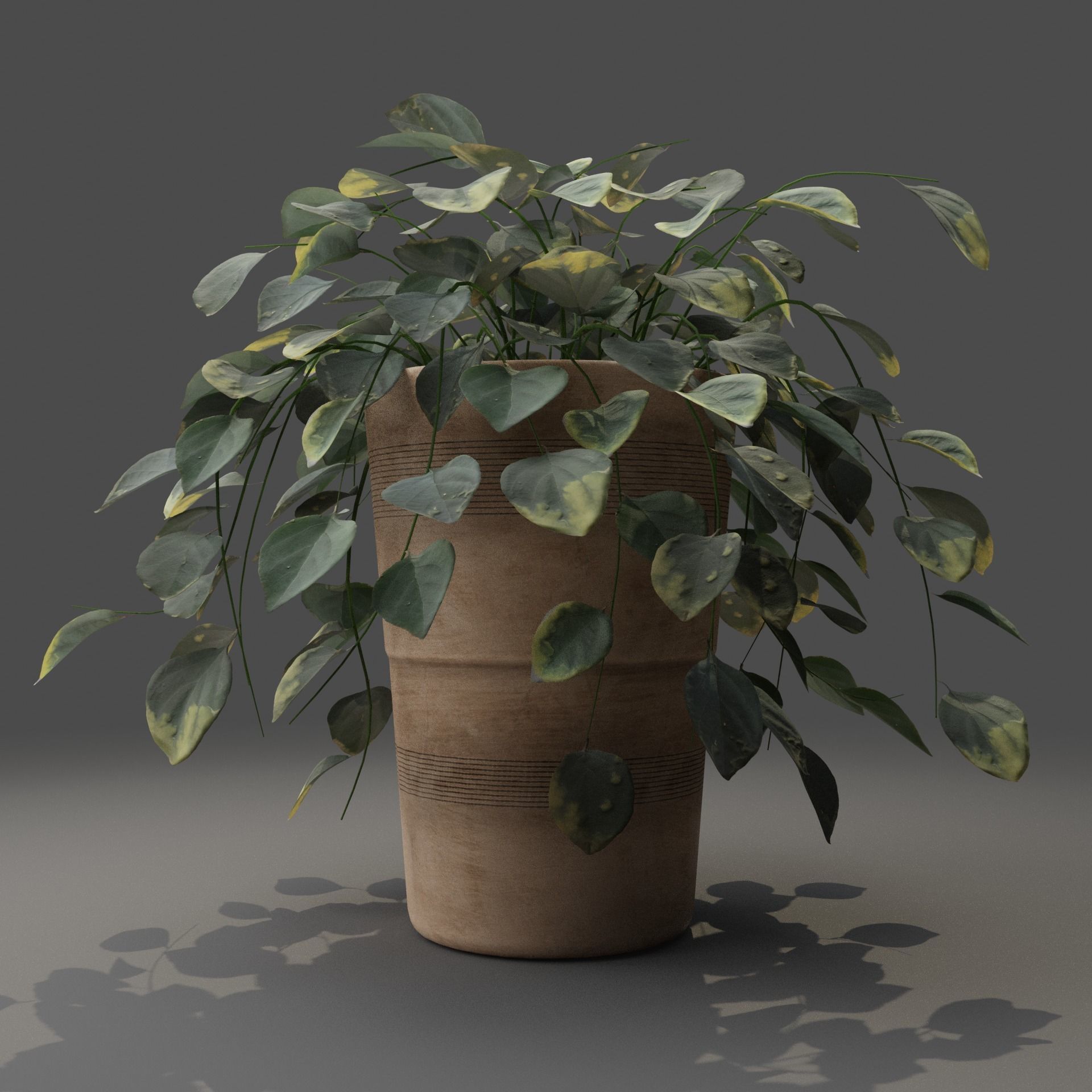 Pot with Plant 3D model_5