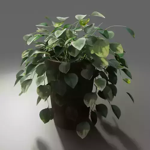 Pot with Plant 3D model