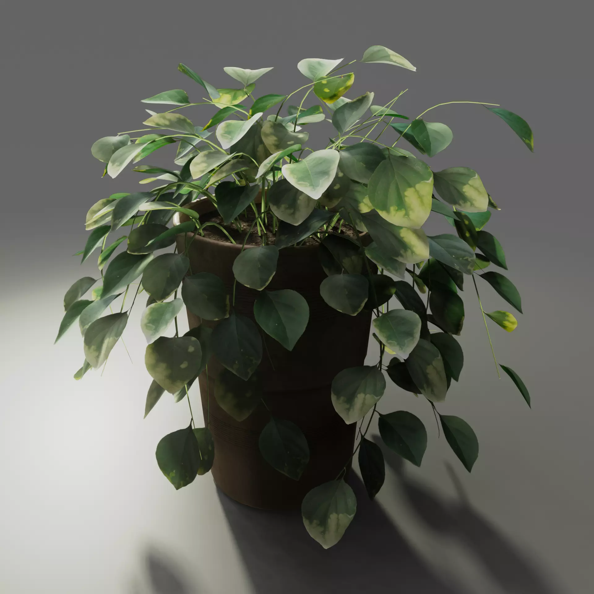 Pot with Plant 3D model_0