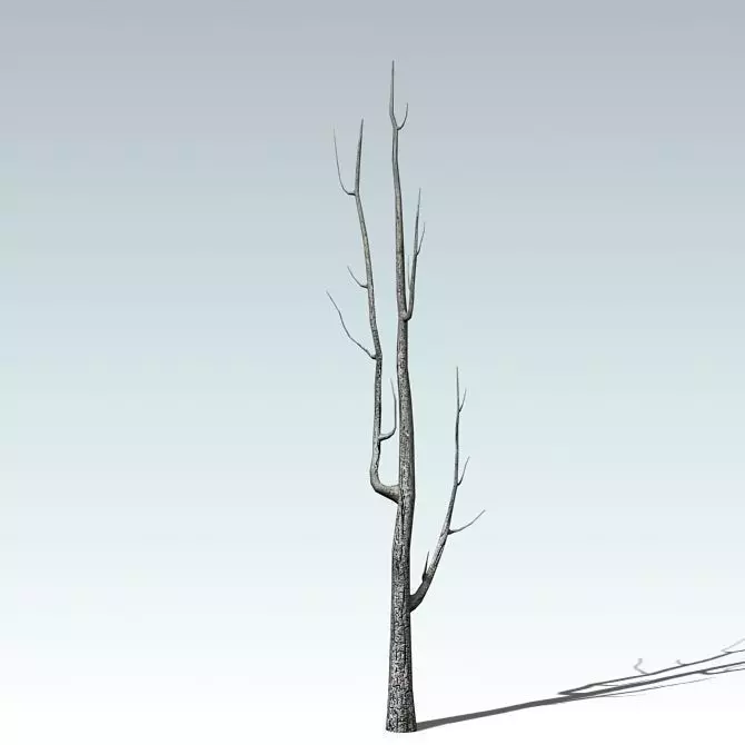 Dead tree  Low-poly 3D model_0
