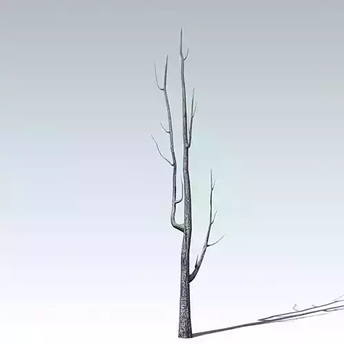 Dead tree  Low-poly 3D model