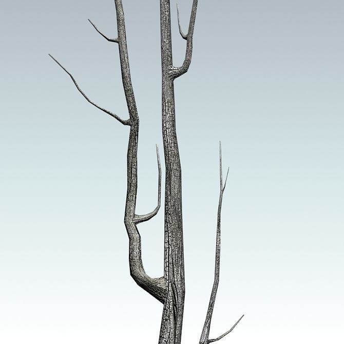 Dead tree  Low-poly 3D model_2