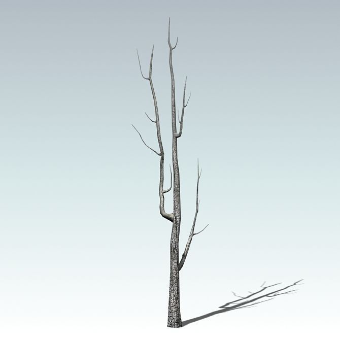 Dead tree  Low-poly 3D model_1
