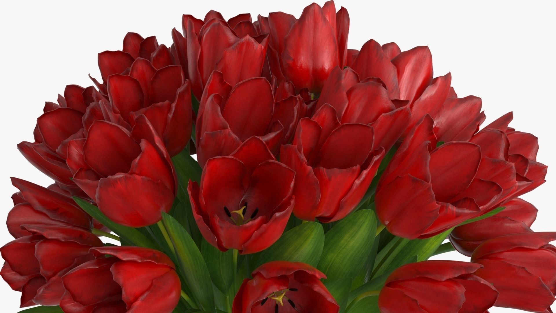 Tulip Bouquet Flowers Low-poly 3D model_9