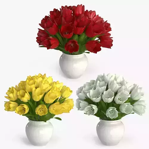 Tulip Bouquet Flowers Low-poly 3D model