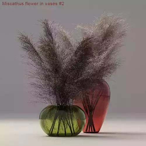 Miscanthus flower 3D model