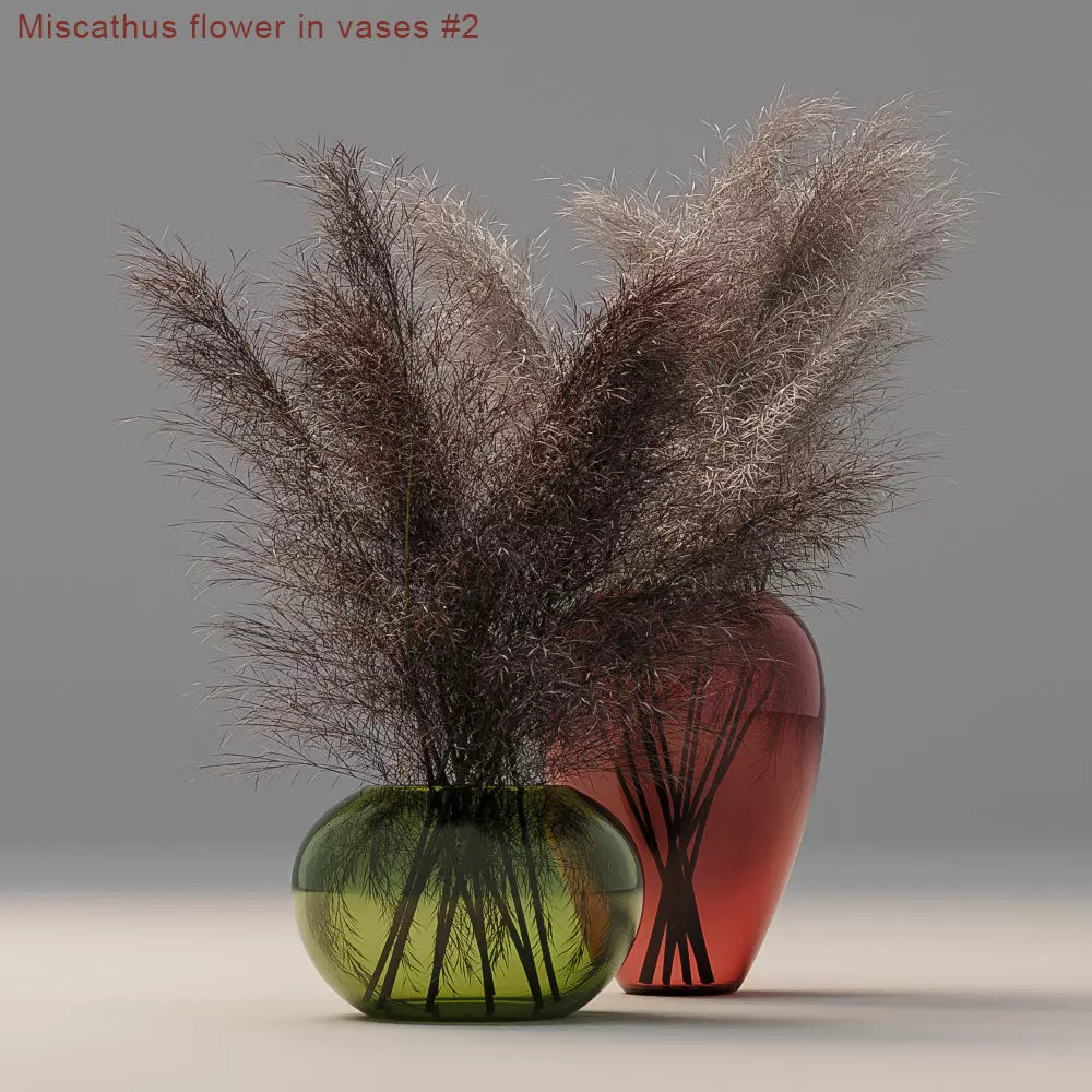 Miscanthus flower 3D model