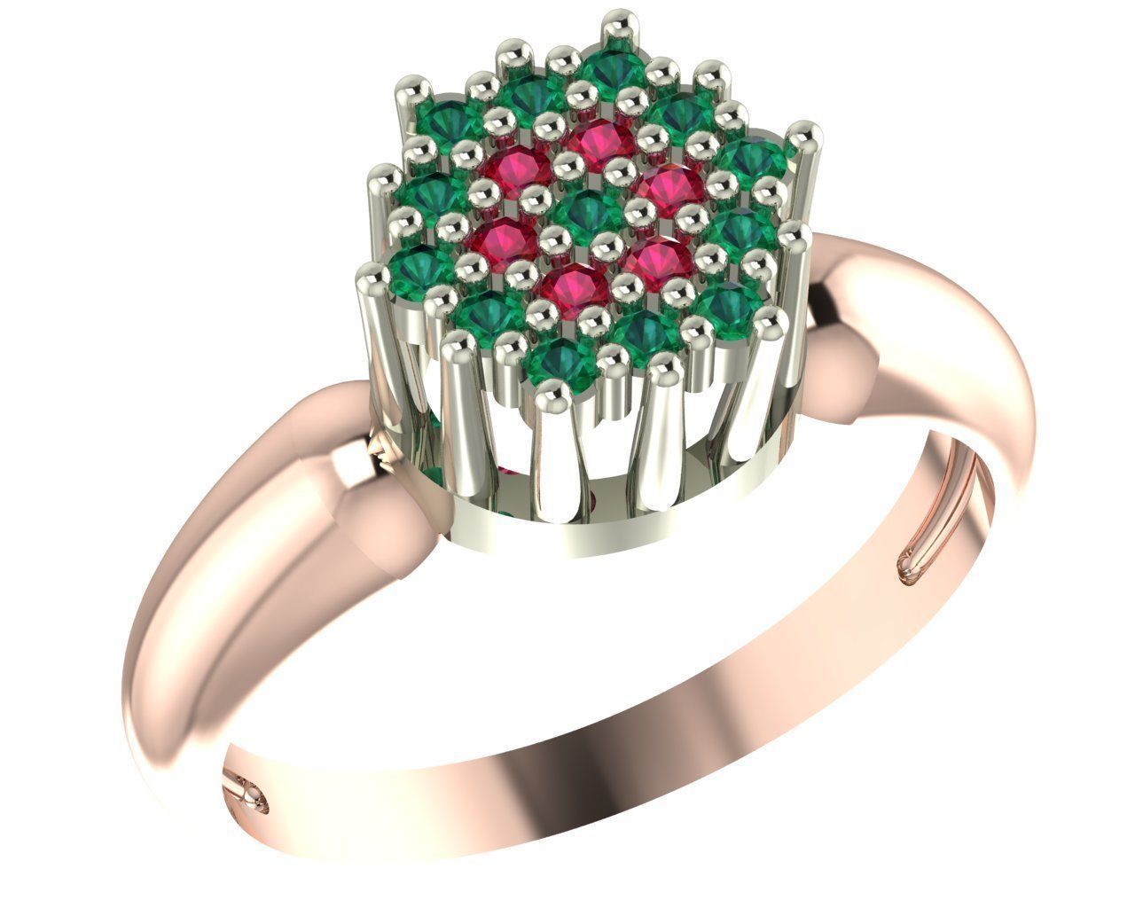 Aneis Chuveiro 3D model_1