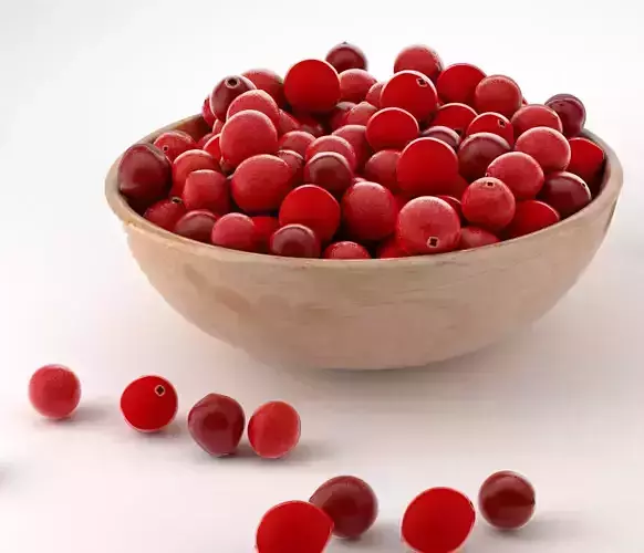 cranberry fruit bowl Low-poly 3D model