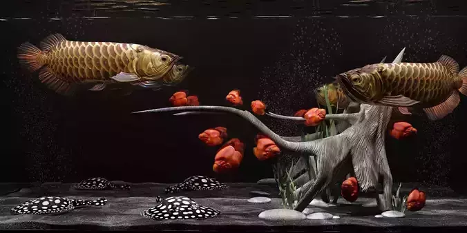 aquarium tank  3D model