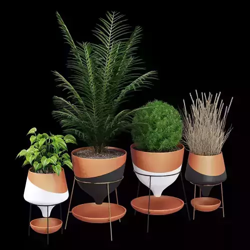 Funnel three potted plants