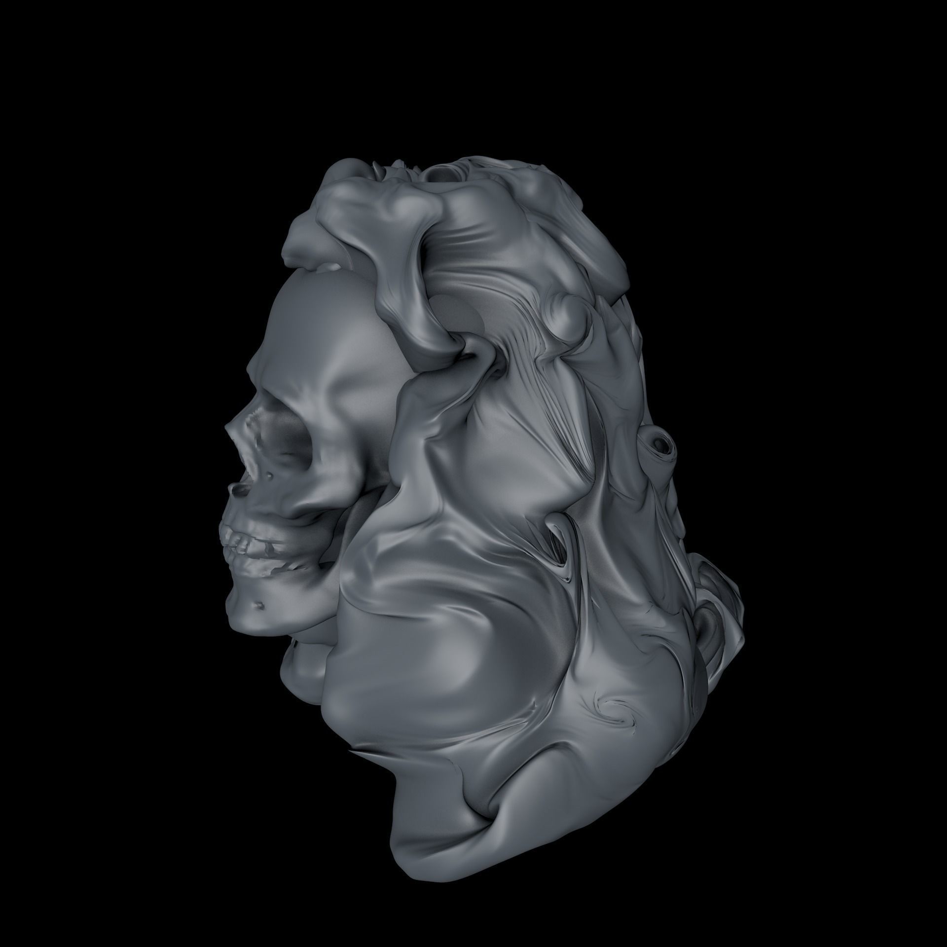 Hairy Skull sculpted model 3D model_6