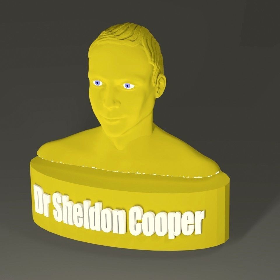 SHELDON COOPER ET LEONARD HOFSTADTER 3D print model_13