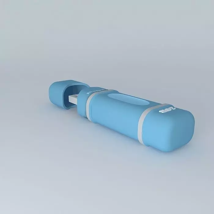 Radical USB Stick Free 3D model_0