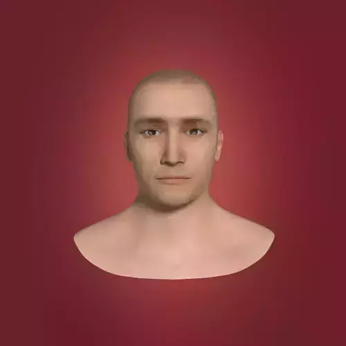 Man Head Low-poly 3D model