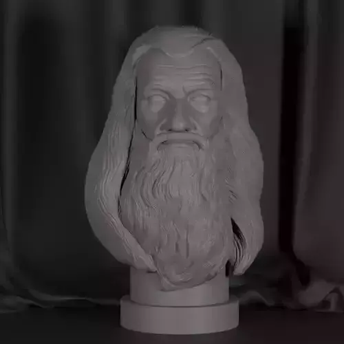 Gandalf bust of harry potter