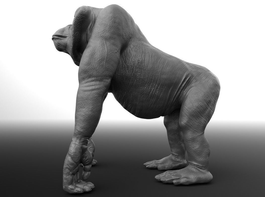 Orangutan gorilla Free 3D model_2