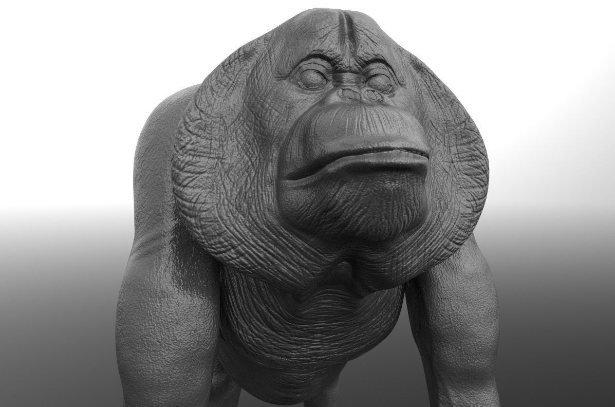 Orangutan gorilla Free 3D model_1