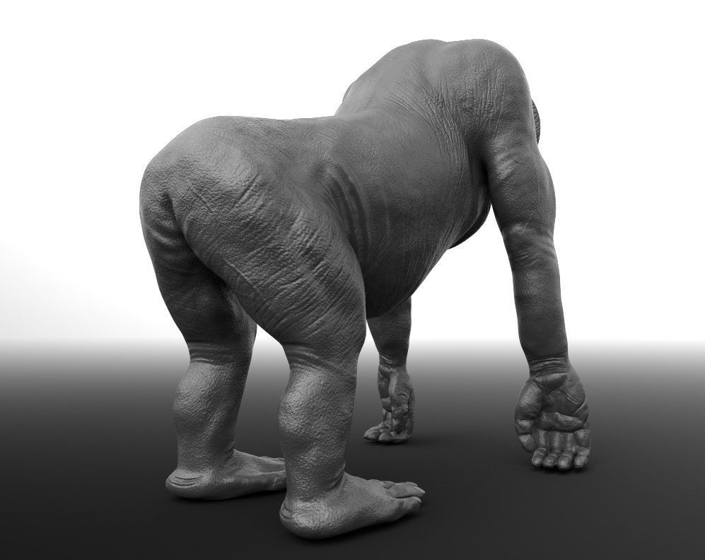 Orangutan gorilla Free 3D model_3