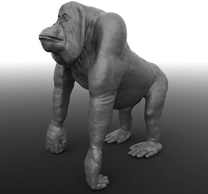 Orangutan gorilla Free 3D model_0