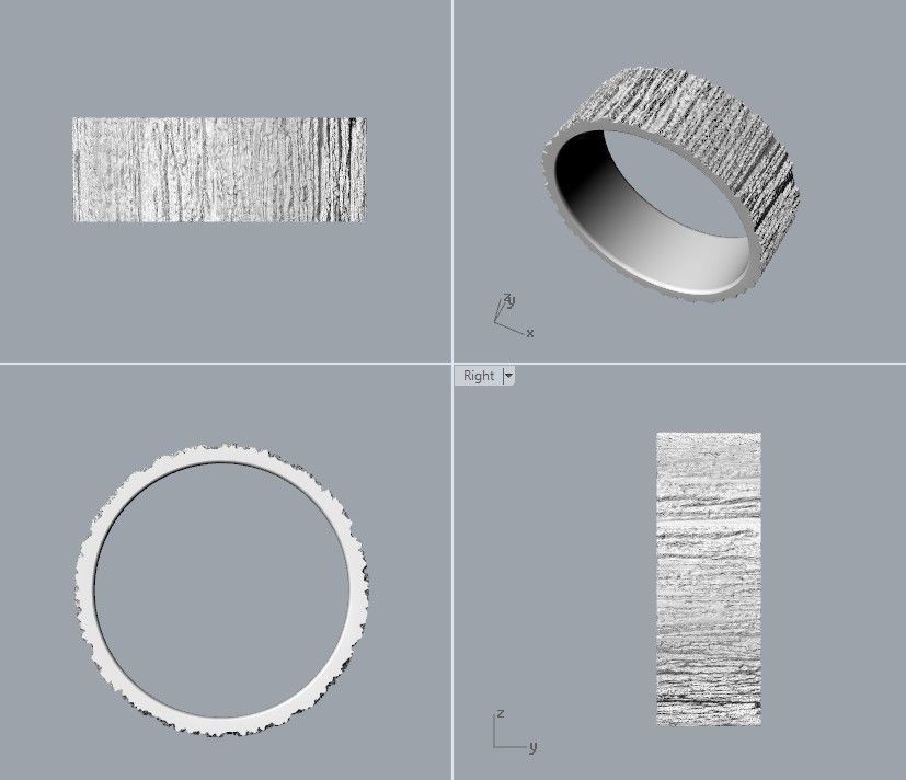 Rings  with tree bark texture 3dm stl 3D print model 3D print model_26