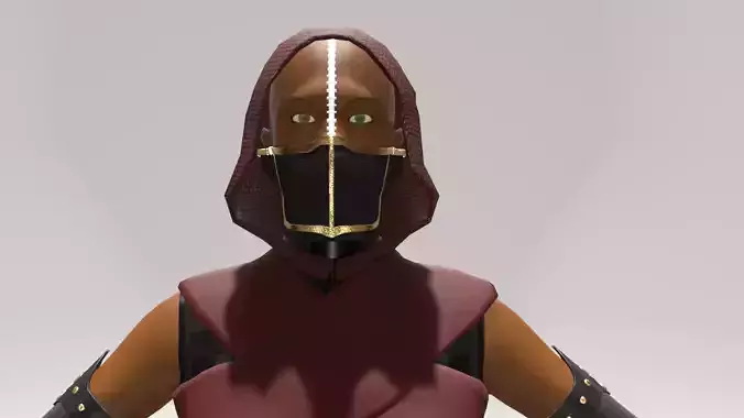 THE ASSASSIN 3D MODEL female character in armor