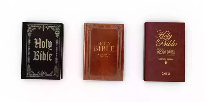 bible books 3d model 3D model