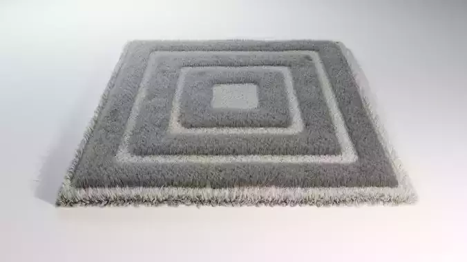 Carpet shaggy rug