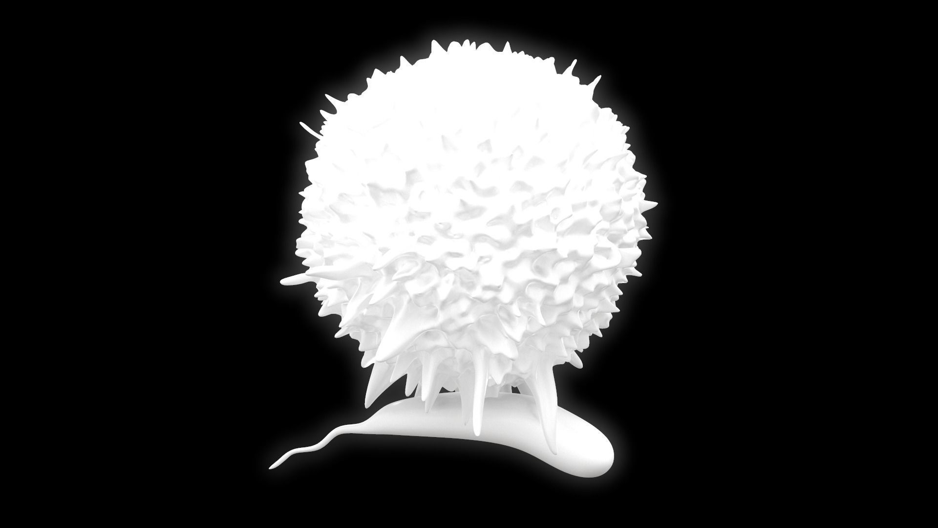 Lymphocyte flower 3D model_10