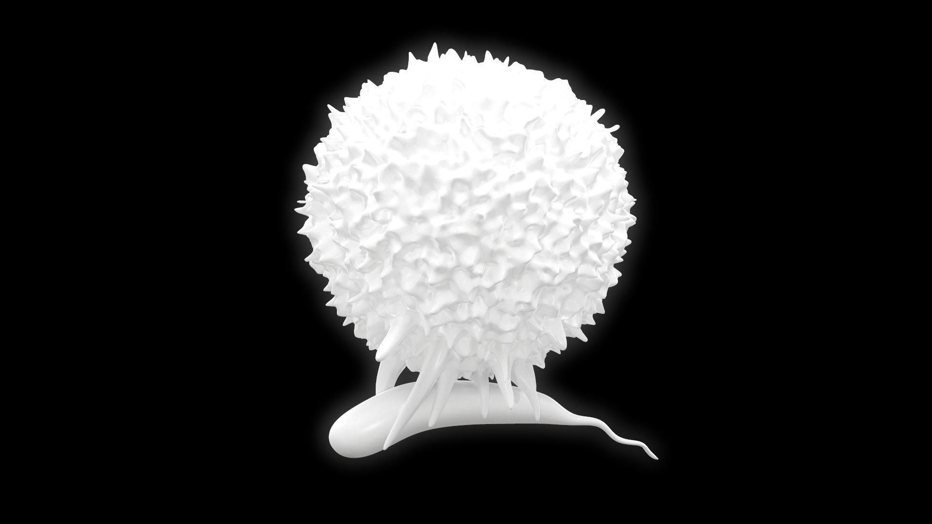 Lymphocyte flower 3D model_9