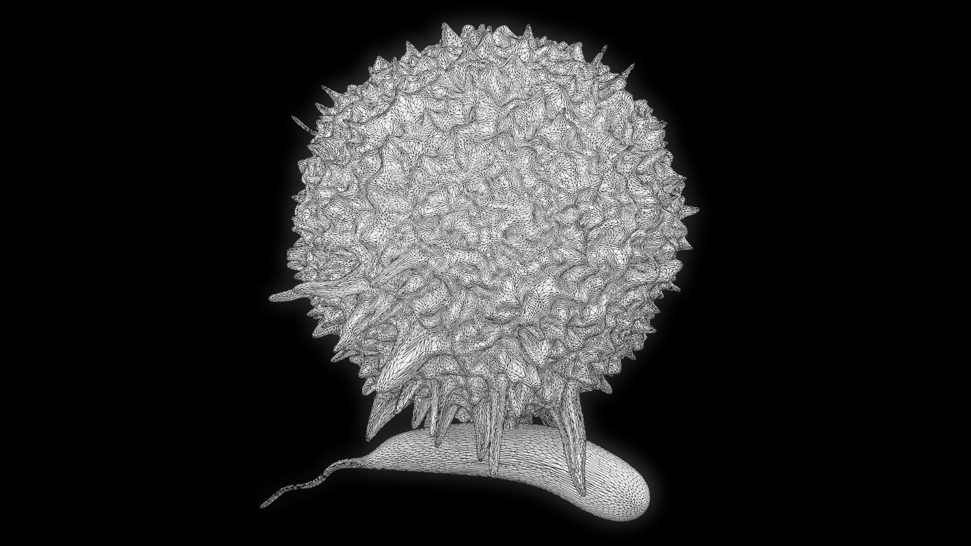 Lymphocyte flower 3D model_11